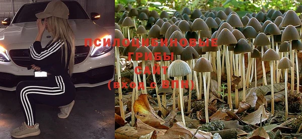 MESCALINE Зерноград